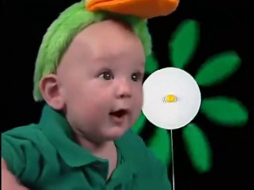 video nº13 - Baby Van Gogh (2000 - 2004)