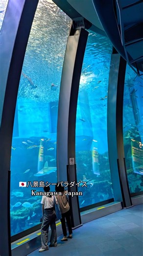八景島シーパラダイス🐬Kanagawa/Japan