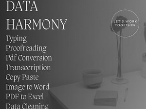 Data Entry Specialist: Organizing for Success