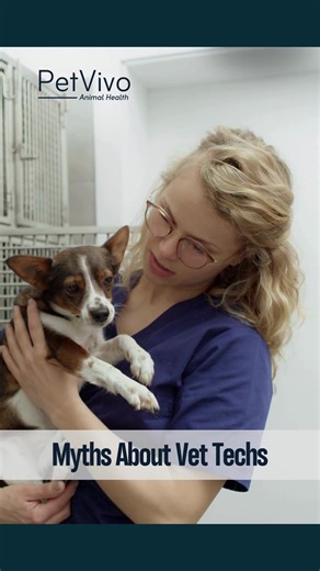Happy National Vet Tech Week! Vet techs do so much more than most people realize. Let’s clear up a few myths and celebrate everything they bring to the clinic!  #VetTechWeek #VeterinaryTechnician #VetMed #VetTech #VeterinaryMedicine #VetLife #PetVivo #PetVivoAnimalHealth | PetVivo Animal Health: Regenerative Therapies | Facebook