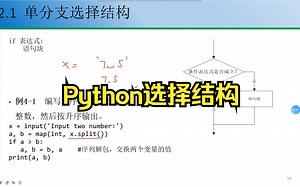 Python选择结构