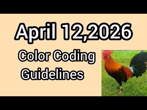 April 12,2026 Color Coding Guidelines