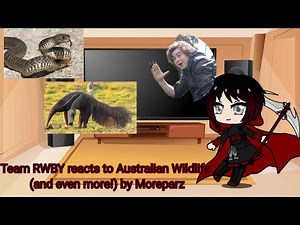 Team RWBY reacts to Australian Wildlife (and even more!!) By Moreparz