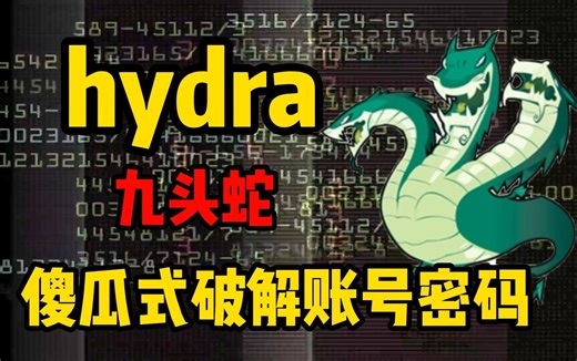 【Hydra九头蛇】10秒钟破解一切账号密码，Hydra傻瓜教程，我爷爷都学会了（附安装包&字典）