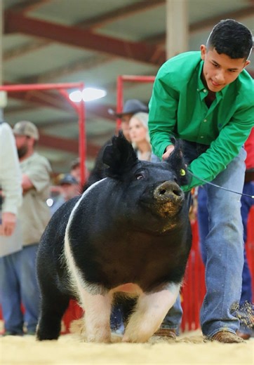 Best Moments from the San Antonio Barrow Show