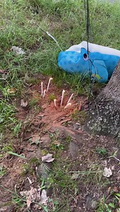 132K views · 1.6K reactions | How hood dudes be when one of their homies pass away in the hood 臘‍♂️ | Thatboyfunny | Facebook