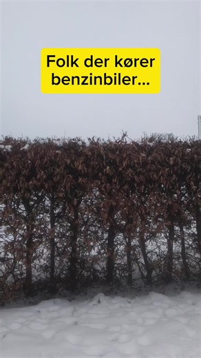 Hvilken en er du? Humor og sjov i videoen!