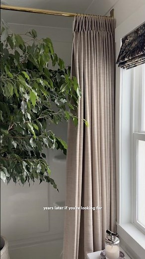 My Favorite Low Effort Indoor Tree