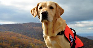 Service dog case settled