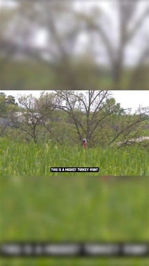 Hunting Thee Outdoors™© on Instagram: "Musket Turkey Hunt!! Full video on Viral Outdoors YouTube! @mattbusbice"