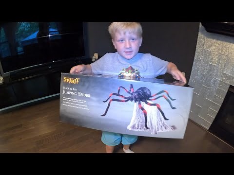 Lucky Luc Videos - JUMPING SPIDER Spirit Halloween Animatronic