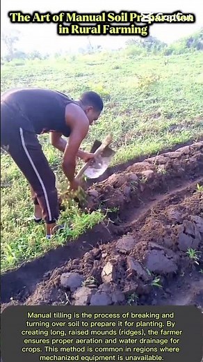 The Physical Demands and Rewards of Subsistence Agriculture