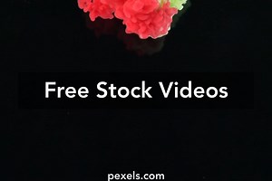 Artistic Videos, Download The BEST Free 4k Stock Video Footage & Artistic HD Video Clips