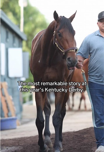 So Happy's Derby Win: A Tribute to a Lost Love