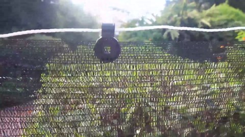 Roshad Black 30% Shade Cloth,6ft x 8ft Sunblock Fabric Cut Edge UV Resistant for Garden Plants Cover, Greenhouse, Barns Kennel, Patio, Tomatoes with Clips