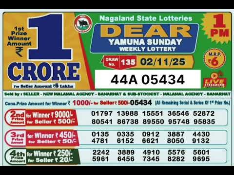 morning lottery result today 1pm - 02/11/2025- Nagaland State Lottery Result .