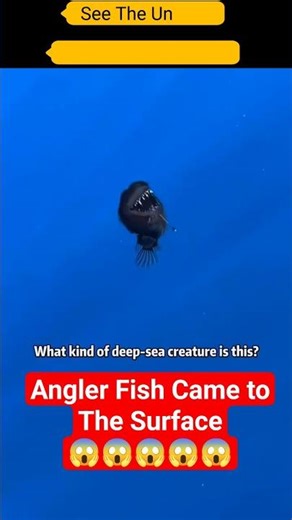 RARE VIDEO PART 39 | Angler Fish Came to Surface #shorts #trending #ocean