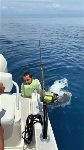 He Dived Into Thousands of Fish… And Something Scared Him
