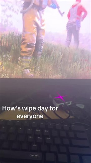 How's wipe day for everyone? Rust wipe day experiences