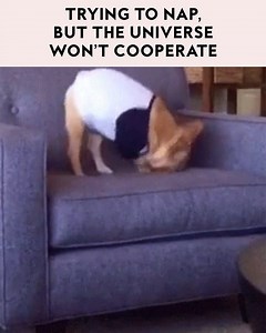 1.2M views · 284 reactions | Why  | InStyle | Facebook