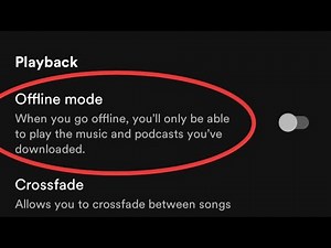 Fix Spotify Not Playing Downloaded Songs Problem Solved 2024