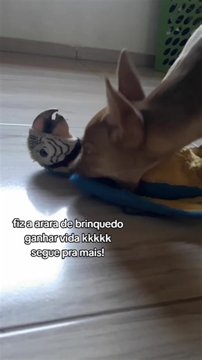 Fiz a arara da FurReal Friends ganhar vida e falar!