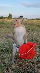 23K views · 485 reactions | Red skirt ❤️❤️ | YaYa Note | Facebook