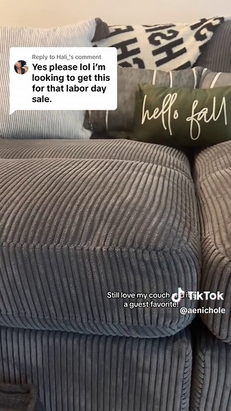 10-Month Review: Wayfair Mordecai Couch