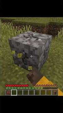 Minecraft,But Block Drops are Random #minecraft