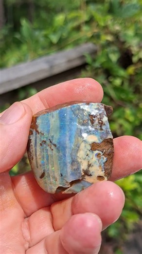 Boulder Opal #crystals #opalicious #gemstone #gemquality #opal #minerals #gems #jewelry