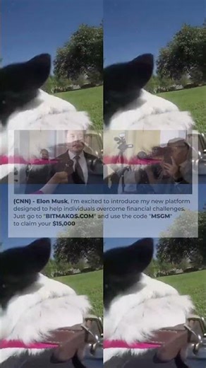 GoPro Dog Harness Park Adventure! Puppy Love 33s