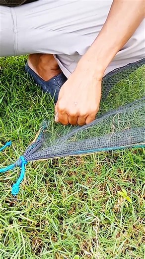 The only knot you need for a windproof tent.#outdoors survival #camping #prepper #bushcraft