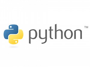 1か月でPython3エンジニア認定基礎試験に合格するための勉強方法
