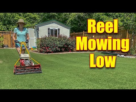 Gas Reel Mowers - Reel Mowing Low Grass