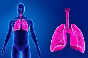 Pulmonary emphysema: symptoms, diagnosis and treatment