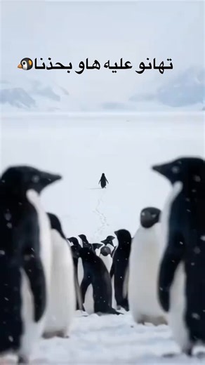 Go phone on Instagram