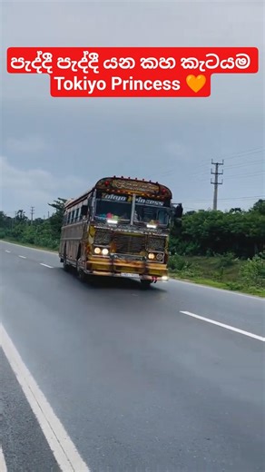 පැද්දී පැද්දී යන කහ කැටයම Tokiyo Princess 🧡අම්මෝ එයාගේ පෙනුම 🥰👀|New Modified Special Bus #shorts