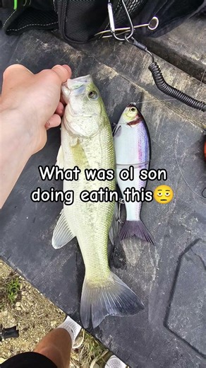 the definition of greedy🤣 #fishing