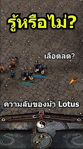 ความลับของม้า Lotus