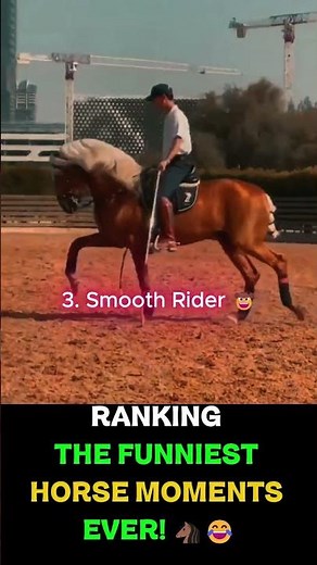Ranking the Funniest Horse Moments Ever! 🐴😂 | Top 5 Horse Clips #Shorts