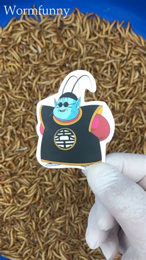 CATERPILLAR VS KAI-O#dragonball #caterpillar #chillcaterpillar #funny #bug