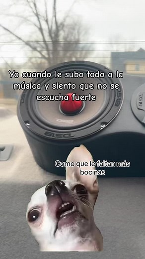 Funny Car Audio Memes: Amplify the Laughter with Hilarious Sound System Videos