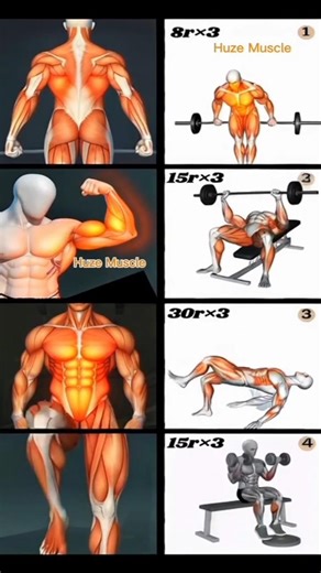 Complete Full Body Workout in 4 Exercises | Build Muscle Fast