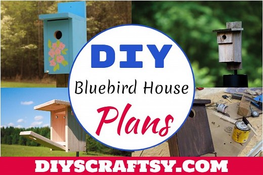 27 DIY Bluebird House Plans