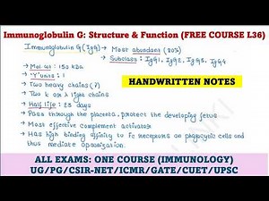Immunology Course | L36 | Immunoglobulin G (IgG)
