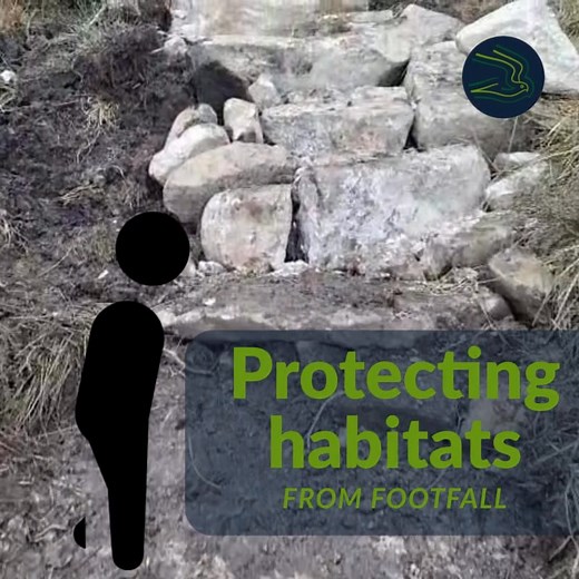 SPINC WORKS COMPLETED After several months of hard work, we are delighted to announce that the Spinc trails in Glendalough are now fully open again to walkers. Well done to contractors Frank, Matt, Sean and Daithi who put in all the hard graft creating stone paths and steps by hand and in all weathers. Walkers can now enjoy the Red, White and Blue trails on new hard paths and without any lengthy detours! Good news for walkers. And good news for our mountain habitats. | Wicklow Mountains National