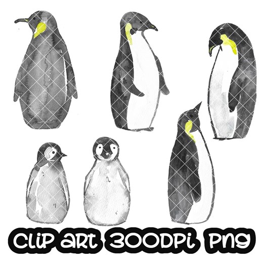 Set of Penguin Clip Art Animals Clipart PNG - Etsy UK