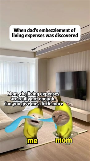 When dad’s embezzlement of living expenses was discovered Link in bio~~~ #tiktok #catmeme #meme #funnycat #fyp