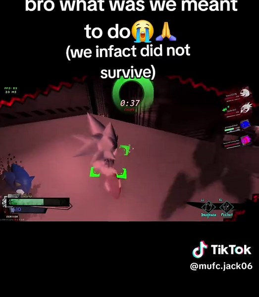 Sonic Outcome Memories: Epic Roblox Gameplay