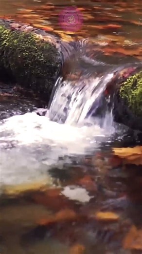 Water Sounds with Beautiful Relaxing Music | Meditation & Relaxation #WaterSounds #RelaxingMusic